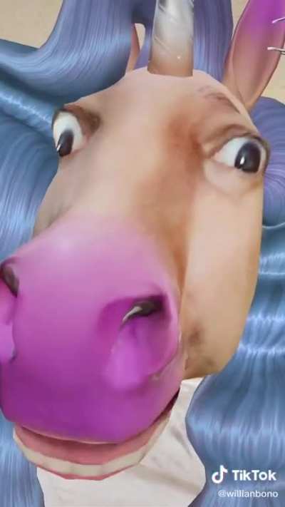 Wtf