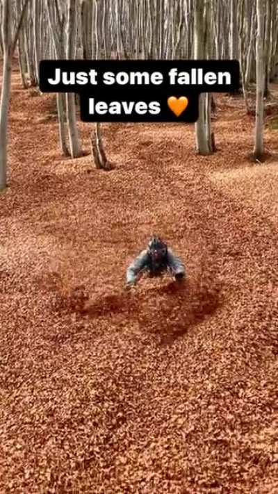 Deep in the leaves