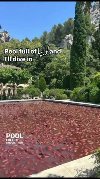 Red 🫘🫘🫘 Lobia >>>> 🥀🥀🥀