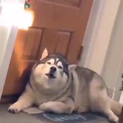 C h u n k y
