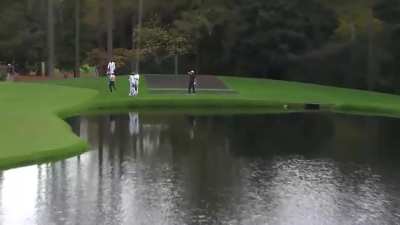 Straight into the water?