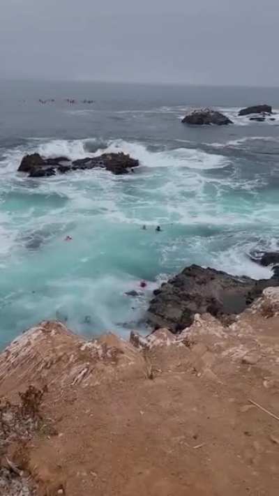 Sea is fun (all people are alive)
