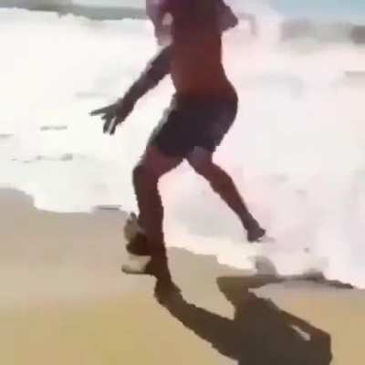 o que ele fez?