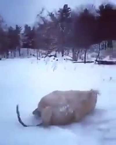 Maybe Maybe Maybe
