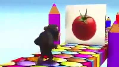 tomatoe