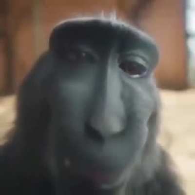 ðð<wbr>