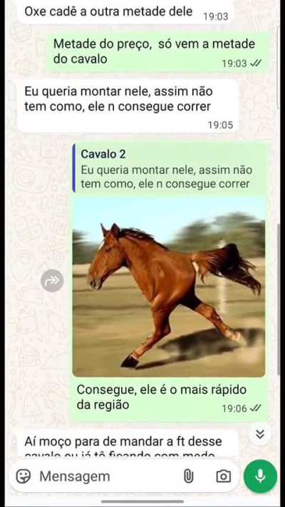 Cavalos diferentes 🤔