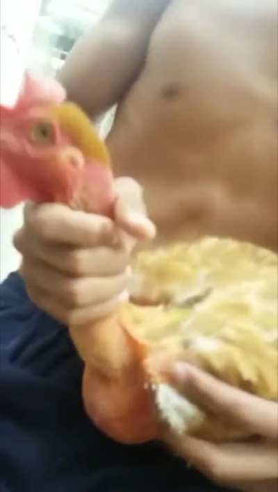 Cock