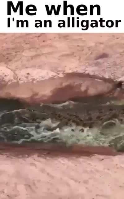 wheeeee