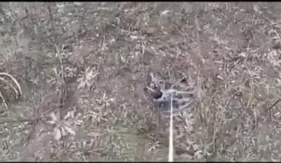 Saving private Mavic