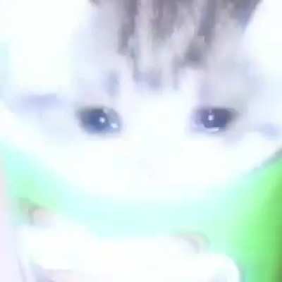 Michi triste :(
