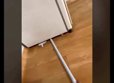 Surprise!