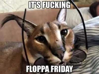 ITS FINALLY HERE