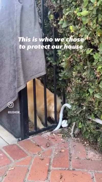 Now I feel (un)safe