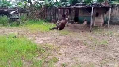 Handstand flip