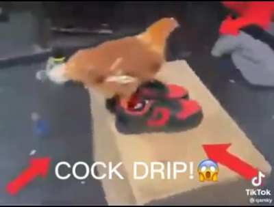 cock drip😱☝😨😆🐽