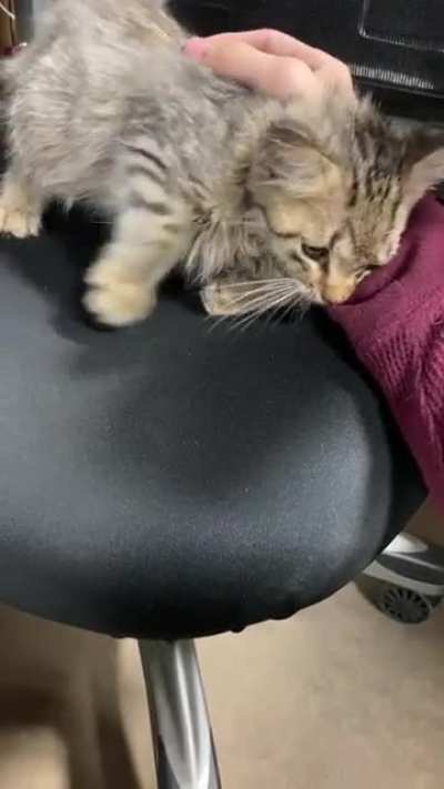 Best coworker ever!