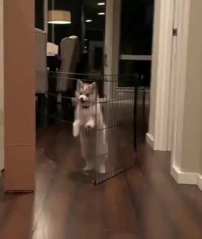 Wait. That's illegal