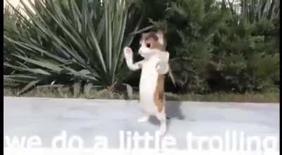 Segunda vez porque la otra vez sali en el video pero justo se le bugeo el reddit al moai 😭