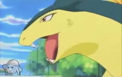 Typhlosion Used Perfectlycutscream