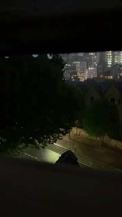 A convoy of swans enjoying the summer storms in London