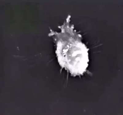 A neuron dying