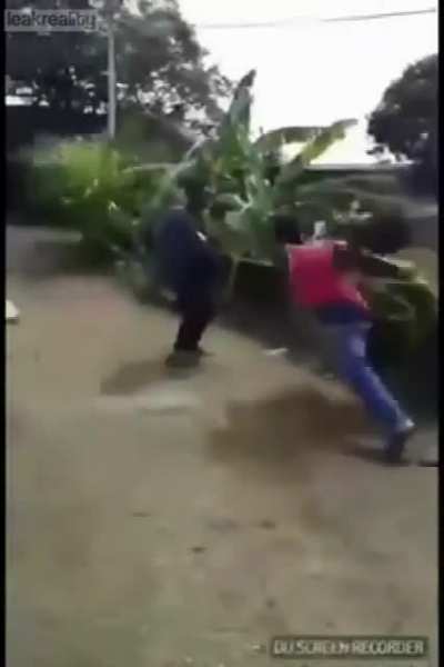 Coolest fight ever