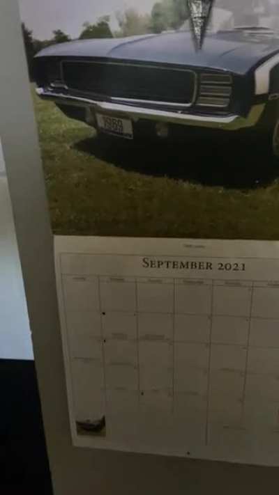 MY CALENDAR IS HORNY?!