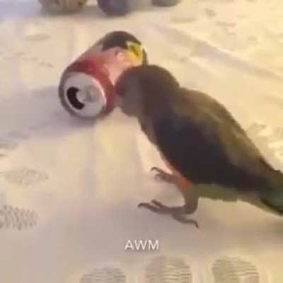 the can was just chilling