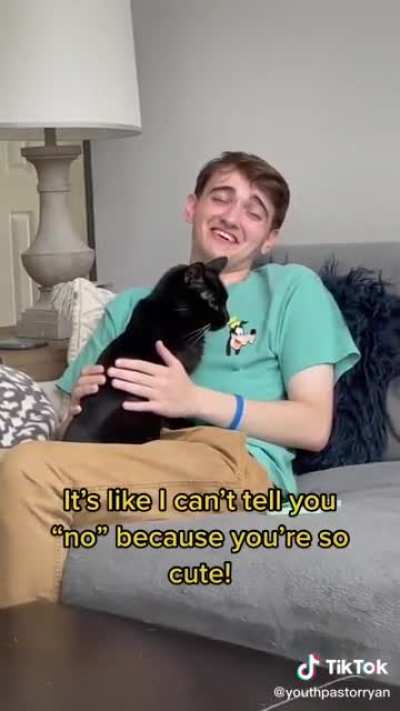 First rule of cats. Thou shal not say no. There is no rule two.