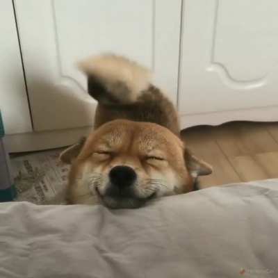 Good morning to you too!