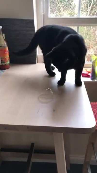 Touch Tha Bubble