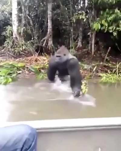 Getting away with that sneak attack.