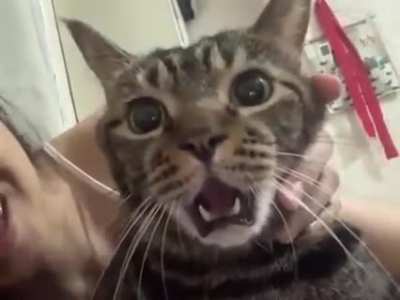 When you got a surprise kiss from your crush
