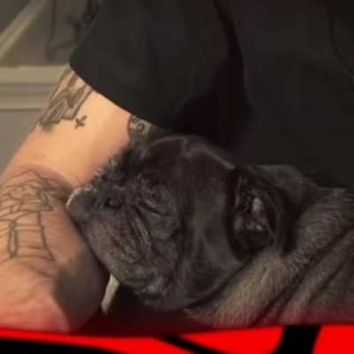 Edgar have a good dream. So cute