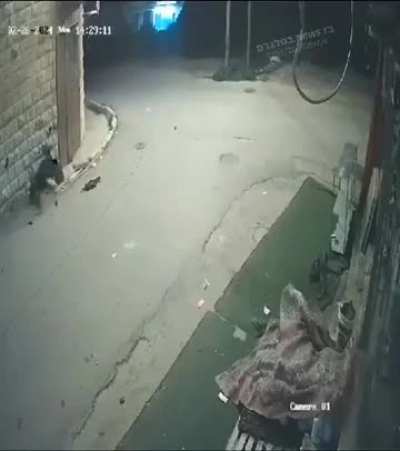 Palestinian commander was gundown by IDF in an operation at West Bank