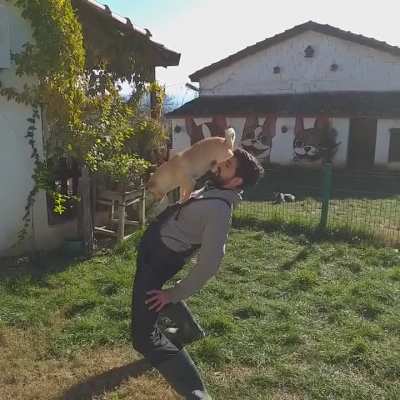 Gravity-Defying Dog: Witness the Backward Cartwheel Trick!