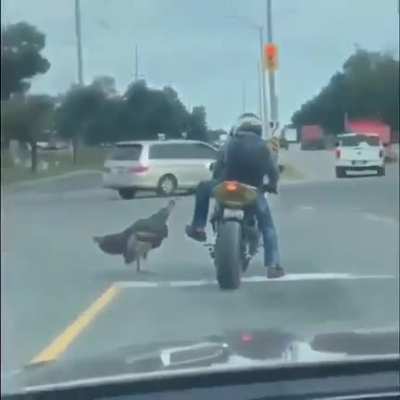 Road Rage