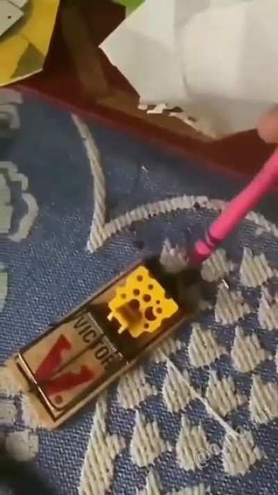 Rats