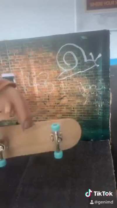 2nd installment of Sk8er Sn@il