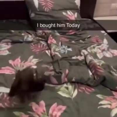 :)