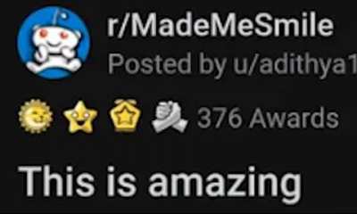 shitposting - Video #9882