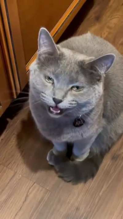 But why is the air spicy, hooman?