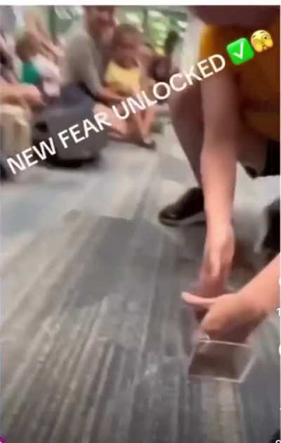 Kids gonna need therapy