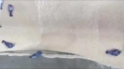 Произ<wbr>водст<wbr>во муки второго сорта