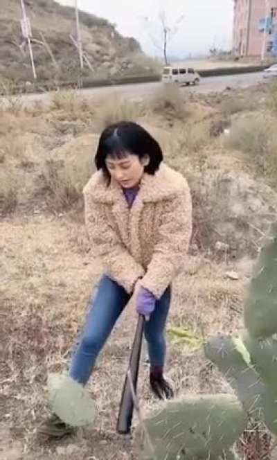 'I'm so bad, I'm going to damage a plant for absolutely no reason'