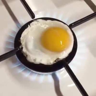 The egg the egg 