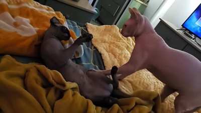 I'm barely touching you!