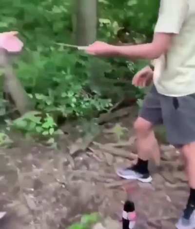 Shitpost hahahah