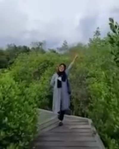 Areivb palestine (haram 😡😡😡🤬) fall (👳🏾👳🏾<wbr>🤣🤣🤣🤣)
